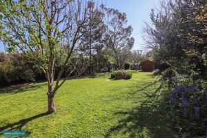 Garden- click for photo gallery